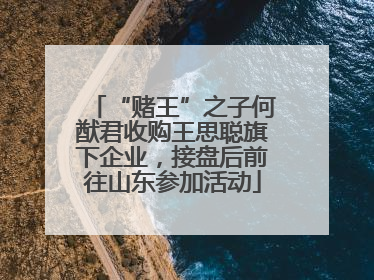 “赌王”之子何猷君收购王思聪旗下企业，接盘后前往山东参加活动