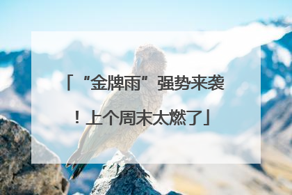 “金牌雨”强势来袭！上个周末太燃了