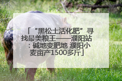 “黑松土活化肥”寻找最美粮王——濮阳站：碱地变肥地 濮阳小麦亩产1500多斤
