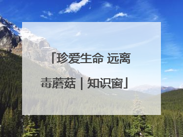 珍爱生命 远离毒蘑菇｜知识窗