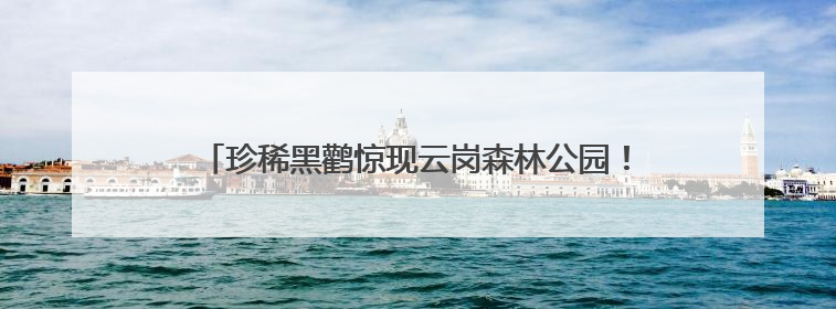 珍稀黑鹳惊现云岗森林公园！丰台这片宝地藏着多少惊喜？