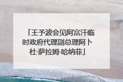 王予波会见阿富汗临时政府代理副总理阿卜杜·萨拉姆·哈纳菲