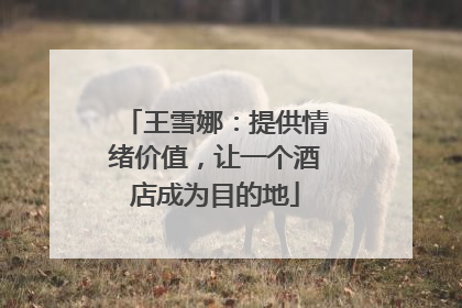 王雪娜：提供情绪价值，让一个酒店成为目的地