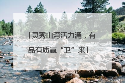 灵秀山湾活力涌，有品有质赢“卫”来
