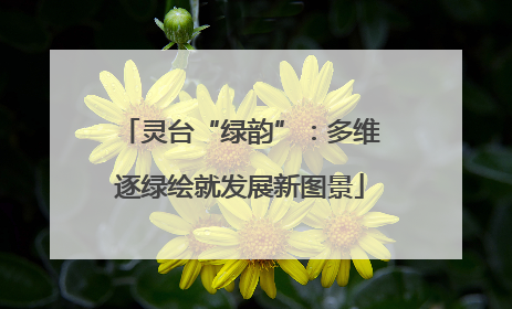 灵台“绿韵”：多维逐绿绘就发展新图景