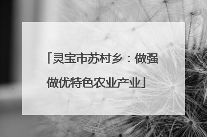 灵宝市苏村乡：做强做优特色农业产业