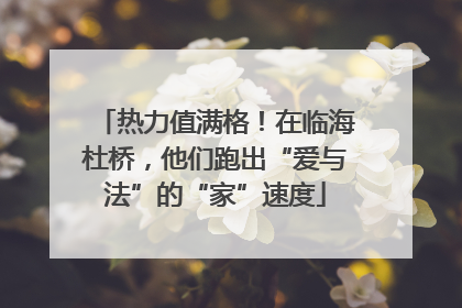 热力值满格！在临海杜桥，他们跑出“爱与法”的“家”速度