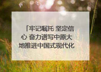 牢记嘱托 坚定信心 奋力谱写中原大地推进中国式现代化新篇章（六）河南绘就“行走河南·读懂中国”新画卷丨牢记嘱托谱新篇