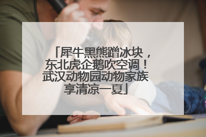 犀牛黑熊蹭冰块，东北虎企鹅吹空调！武汉动物园动物家族享清凉一夏