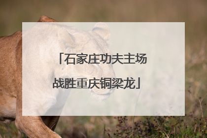 石家庄功夫主场战胜重庆铜梁龙