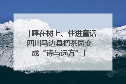 睡在树上、住进童话 四川马边县把茶园变成“诗与远方”