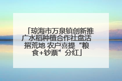 琼海市万泉镇创新推广水稻种植合作社盘活撂荒地 农户喜提“粮食+钞票”分红