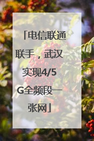 电信联通联手，武汉实现4/5G全频段一张网