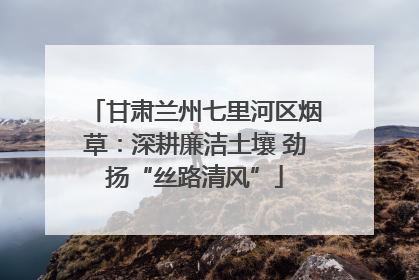 甘肃兰州七里河区烟草：深耕廉洁土壤 劲扬“丝路清风”