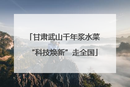 甘肃武山千年浆水菜“科技焕新”走全国