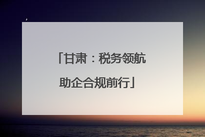 甘肃：税务领航 助企合规前行