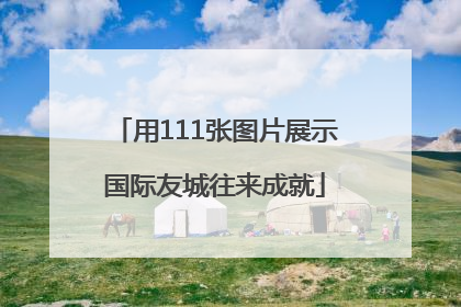 用111张图片展示国际友城往来成就