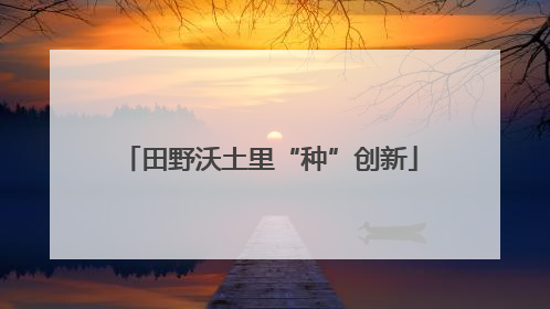 田野沃土里“种”创新