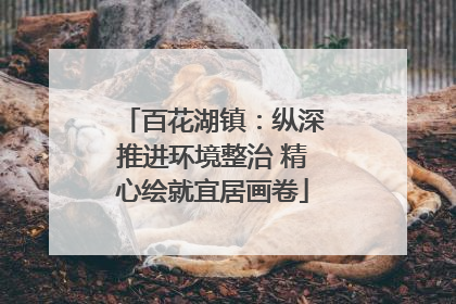 百花湖镇：纵深推进环境整治 精心绘就宜居画卷
