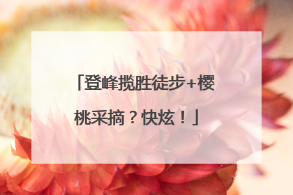 登峰揽胜徒步+樱桃采摘？快炫！