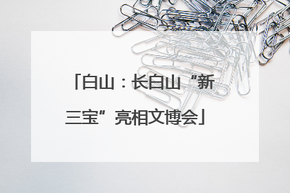 白山：长白山“新三宝”亮相文博会