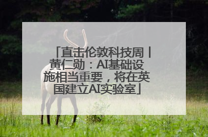 直击伦敦科技周丨黄仁勋：AI基础设施相当重要，将在英国建立AI实验室