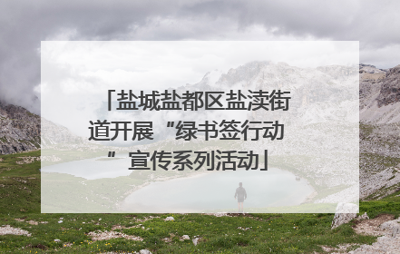 盐城盐都区盐渎街道开展“绿书签行动”宣传系列活动
