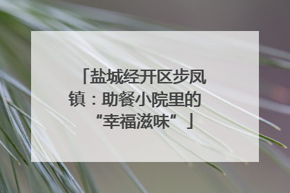 盐城经开区步凤镇：助餐小院里的“幸福滋味”