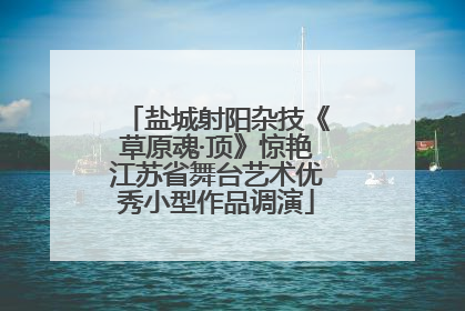 盐城射阳杂技《草原魂·顶》惊艳江苏省舞台艺术优秀小型作品调演