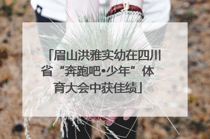 眉山洪雅实幼在四川省“奔跑吧•少年”体育大会中获佳绩
