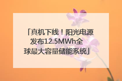 真机下线！阳光电源发布12.5MWh全球最大容量储能系统