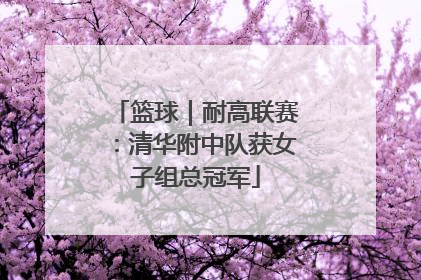 篮球｜耐高联赛：清华附中队获女子组总冠军