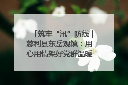 筑牢“汛”防线｜慈利县东岳观镇：用心用情架好党群温暖悠长的“连心桥”