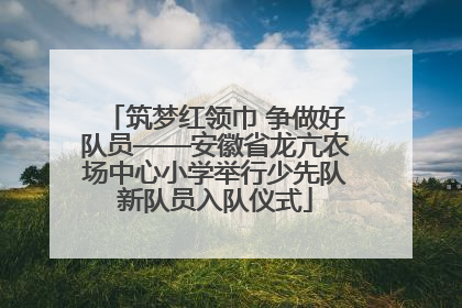 筑梦红领巾 争做好队员——安徽省龙亢农场中心小学举行少先队新队员入队仪式