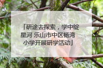 研途去探索，学中绽星河 乐山市中区杨湾小学开展研学活动