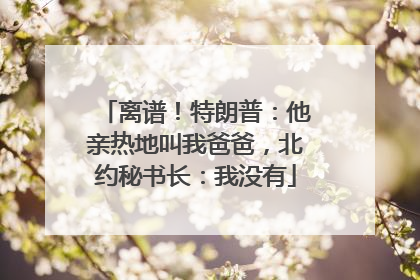 离谱！特朗普：他亲热地叫我爸爸，北约秘书长：我没有