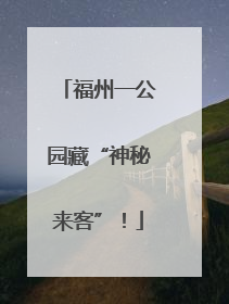 福州一公园藏“神秘来客”！