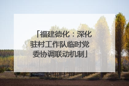 福建德化：深化驻村工作队临时党委协调联动机制