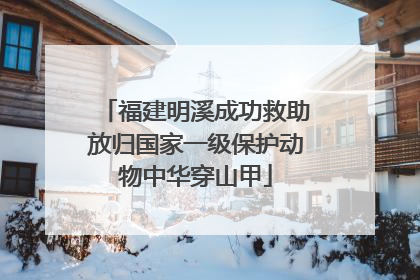 福建明溪成功救助放归国家一级保护动物中华穿山甲