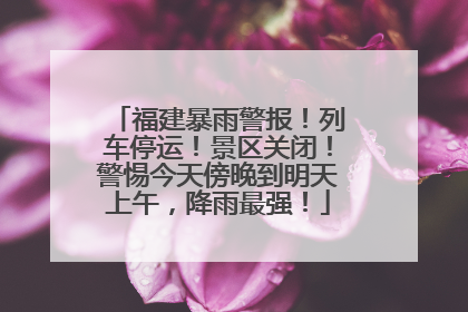 福建暴雨警报！列车停运！景区关闭！警惕今天傍晚到明天上午，降雨最强！