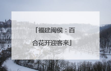 福建闽侯：百合花开迎客来