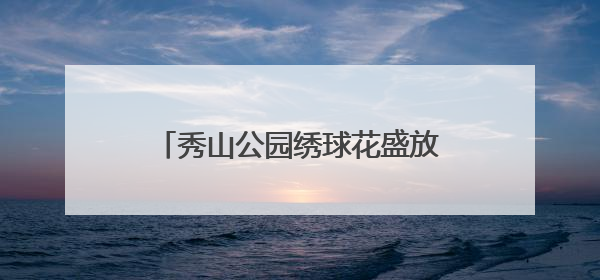 秀山公园绣球花盛放 多彩花海引客来