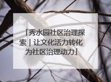 秀水园社区治理探索｜让文化活力转化为社区治理动力