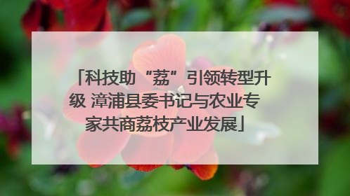 科技助“荔”引领转型升级 漳浦县委书记与农业专家共商荔枝产业发展
