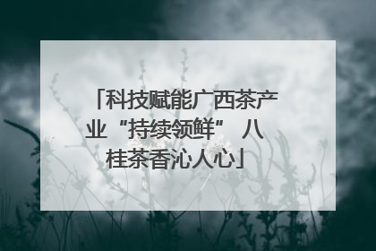 科技赋能广西茶产业“持续领鲜” 八桂茶香沁人心