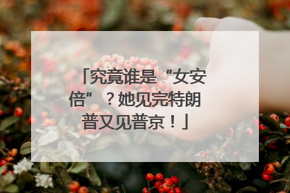 究竟谁是“女安倍”？她见完特朗普又见普京！