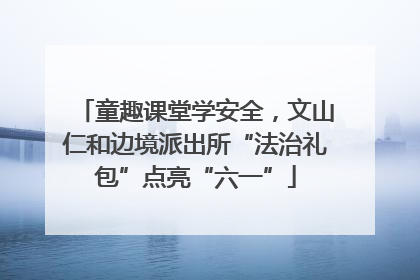 童趣课堂学安全，文山仁和边境派出所“法治礼包”点亮“六一”