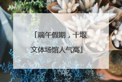 端午假期，十堰文体场馆人气高