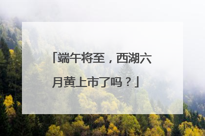 端午将至，西湖六月黄上市了吗？