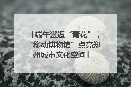 端午邂逅“青花”，“移动博物馆”点亮郑州城市文化空间